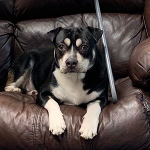 Meet your Posher, Pilar